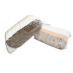 Two bagged cigarette packs